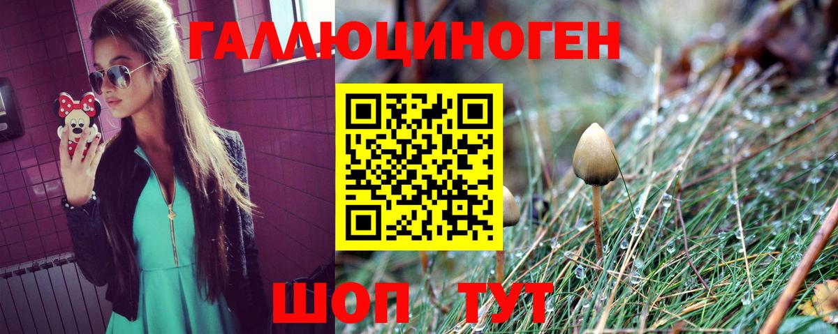 Галлюциногенные грибы Psilocybe  Вход с VPN  Галлюциногенные грибы Cubensis  Светлоград 