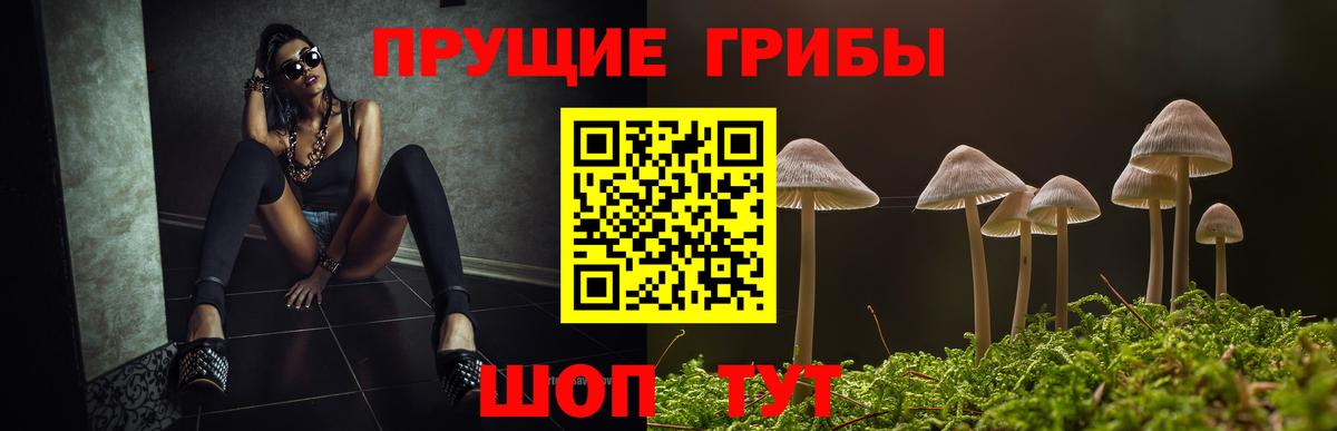 Галлюциногенные грибы мухоморы Светлоград