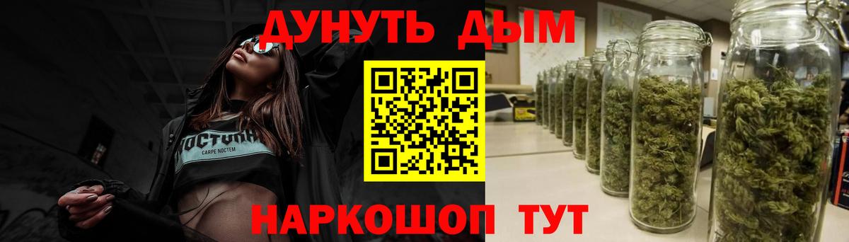 Конопля OG Kush  Конопля ГИДРОПОН  Светлоград  Вход с VPN  МАРИХУАНА AK-47  Каннабис VHQ 